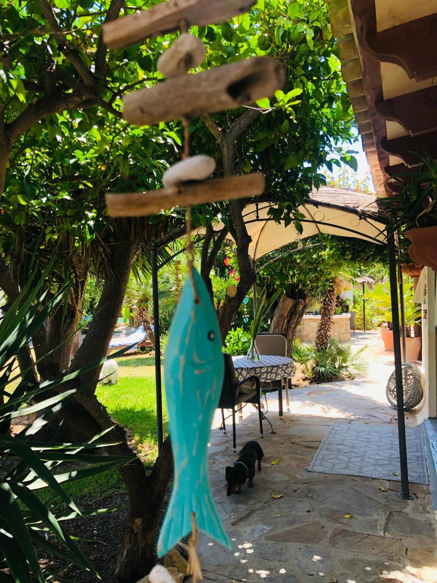 Casita Limon Andratx Villa Екстериор снимка
