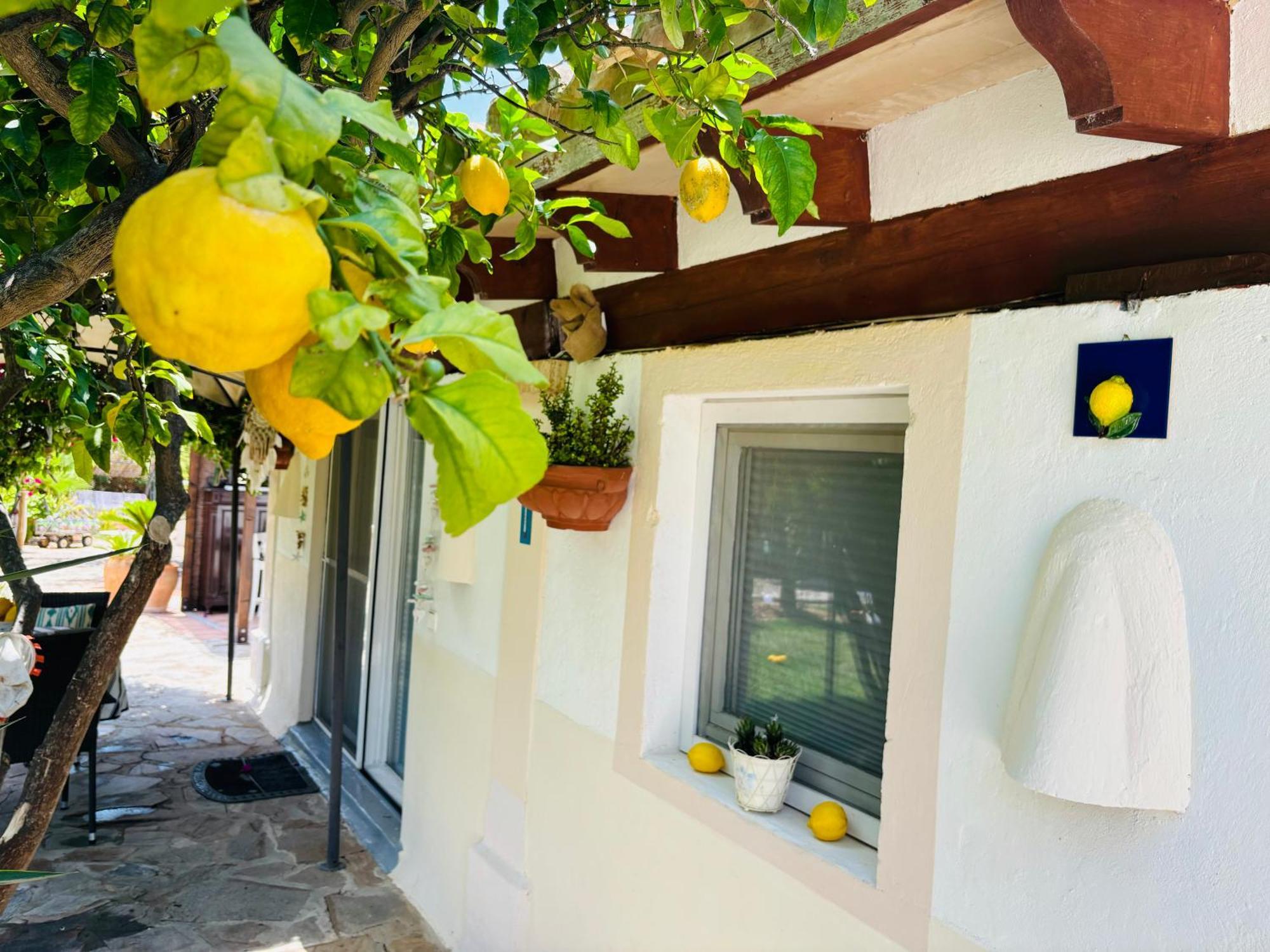 Casita Limon Andratx Villa Екстериор снимка