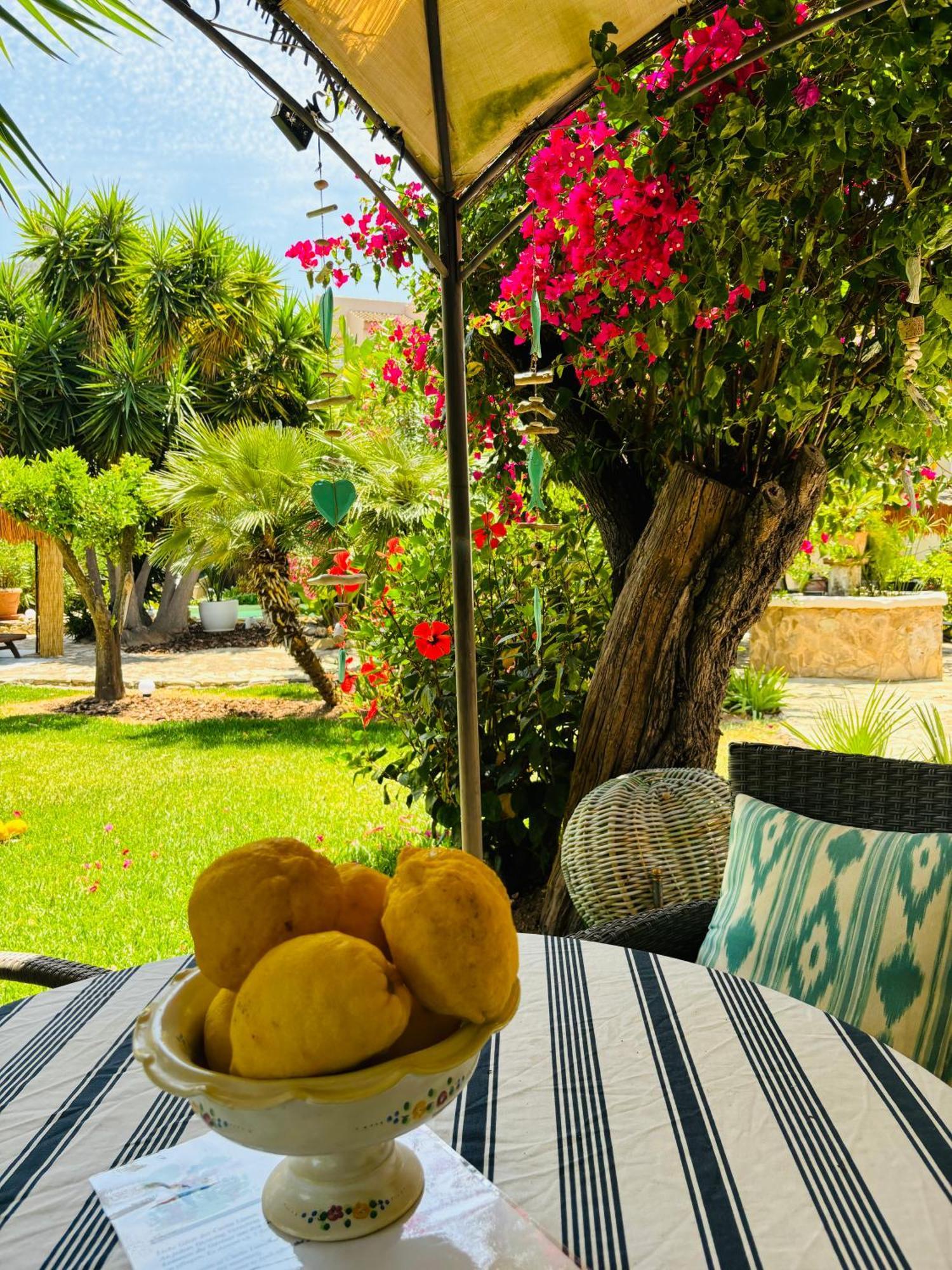 Casita Limon Andratx Villa Екстериор снимка